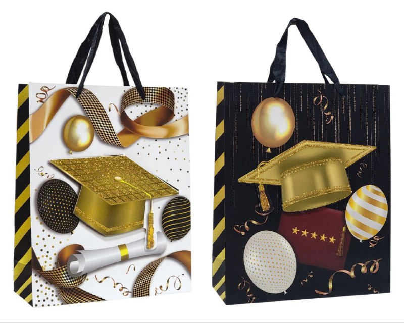 BOLSA DE REGALO DE MEDIANA 26X32X10CM