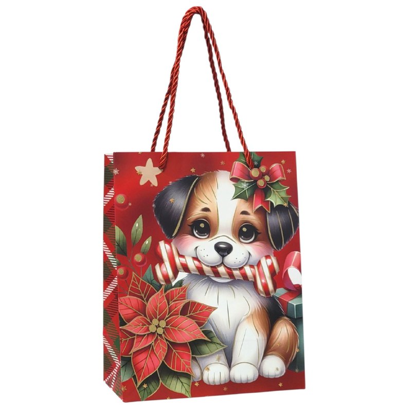 BOLSA DE REGALO NAVIDEÑA PAQUEÑA 18X23X10CM