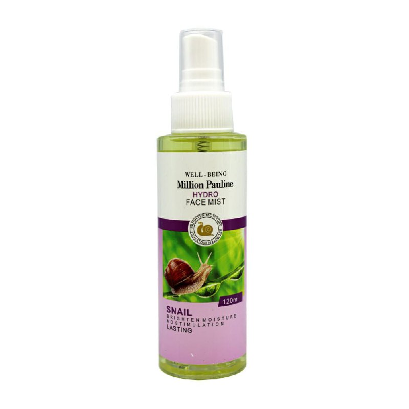 FIJADOR EN SPRAY HIDRATANTE CON BABA DE CARAROL WELL BEING 120ML