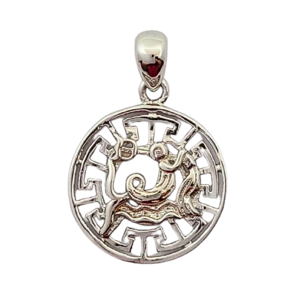 PDIJE242 FORMA SIGNO ZODIACAL ACUARIO