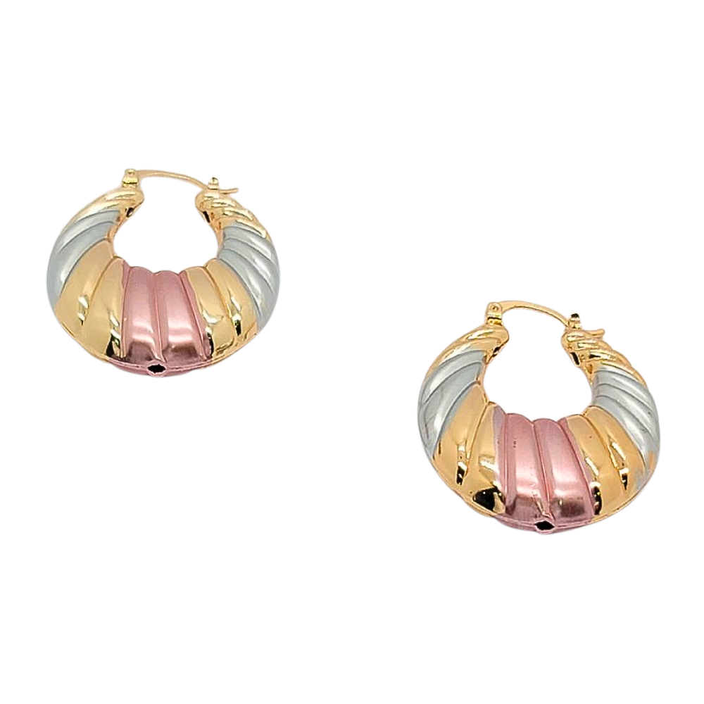 EARGO1792 FORMA CONCHA COLORES