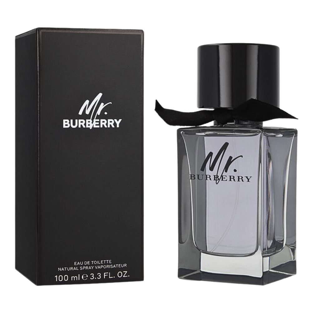 BURBERRY MR BURBERRY EDT 100ML (H)