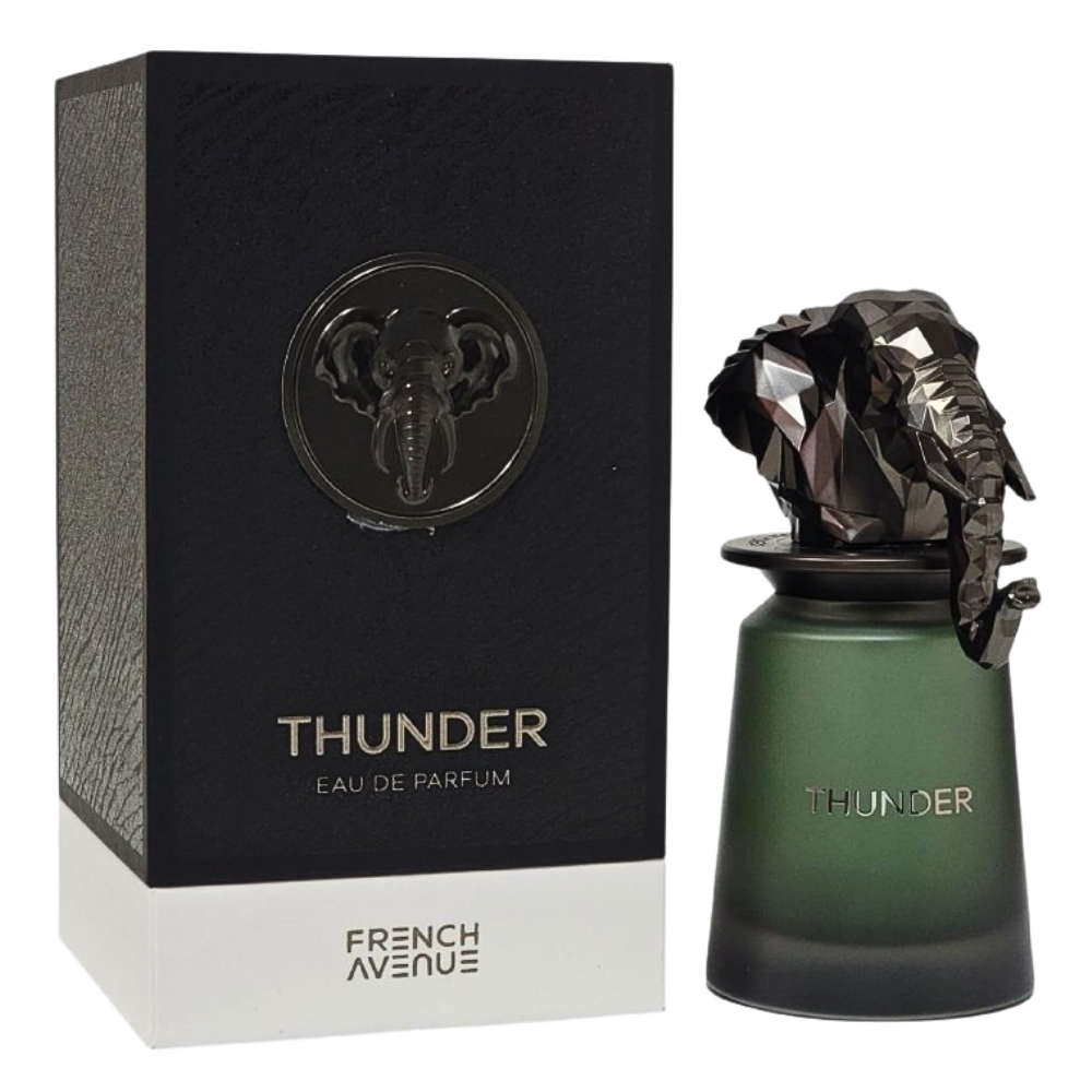 FRAGRANCE WORLD FRENCH AVENUE THUNDER EDP 100ML (H) (DUPE CHRISTIAN DIOR HOMME PARFUM)