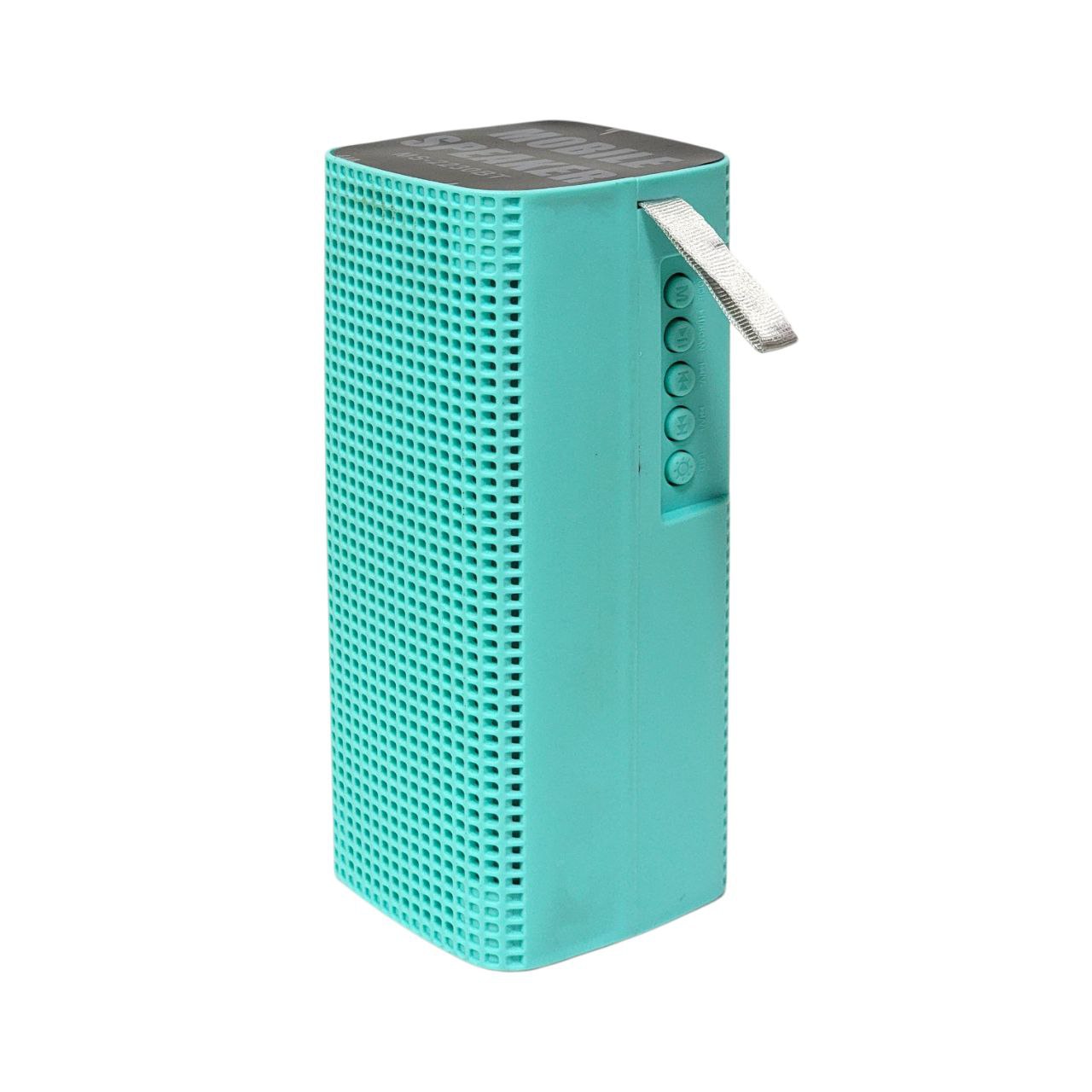 PARLANTE ALTAVOZ INALÁMBRICO PORTÁTIL CON LUCES LED 17CM