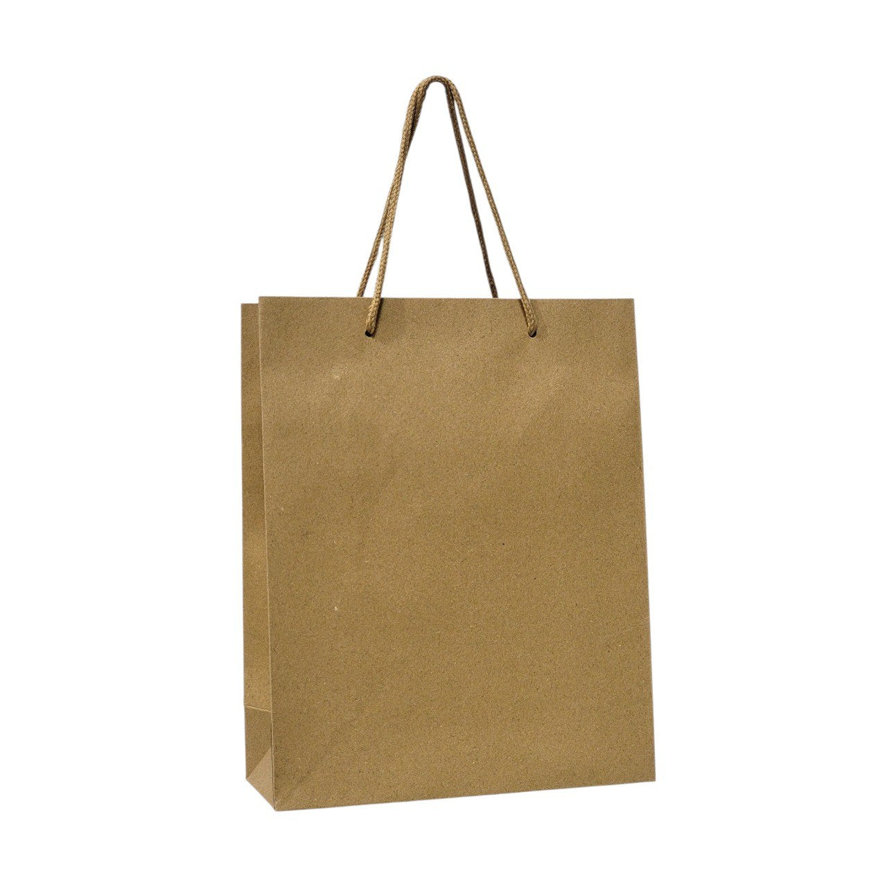 BOLSA DE REGALO MEDIANA 19X24CM