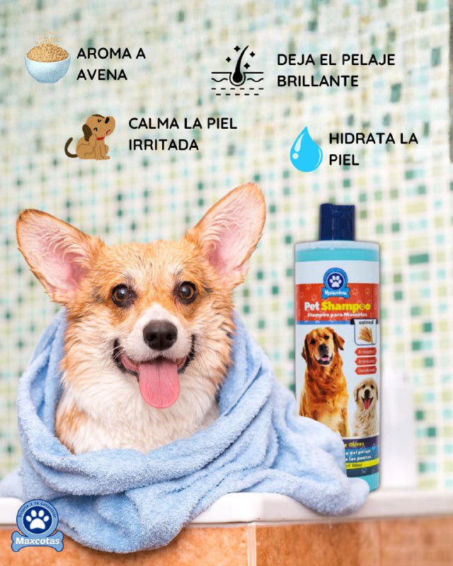 SHAMPOO PARA PERROS, MASCOTAS ELIMINADOR DE OLORES, ANTSEPTICO, ANTIMICOTICO, DESODORANTE QUE REVITALIZA EL BRILLO DEL PELAJE, OLOR LIMPIO Y FRESCO MAXCOTAS 500ML