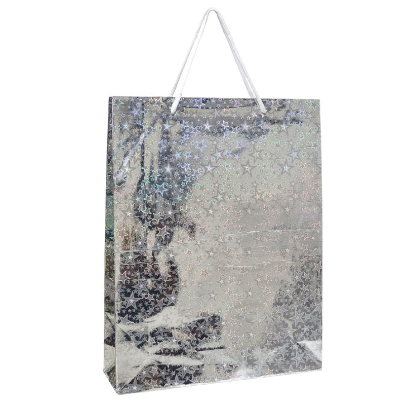 BOLSA DE REGALO MEDIANA 34X26CM