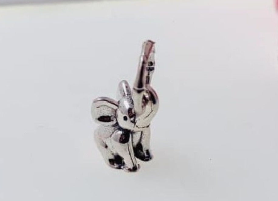 PCHARM1599 ELEFANTE ANIMAL