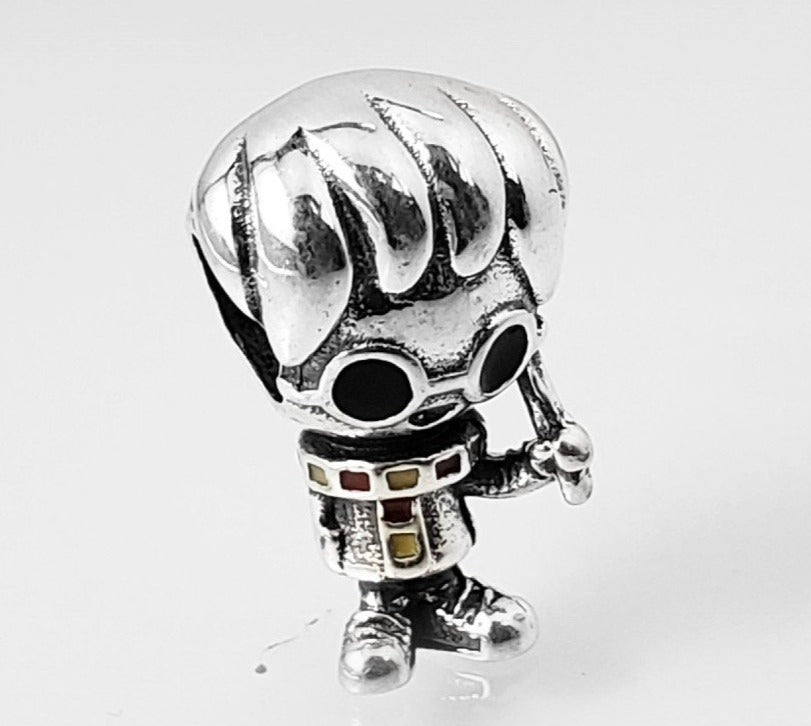 PCHARM2234 HARRY POTTER