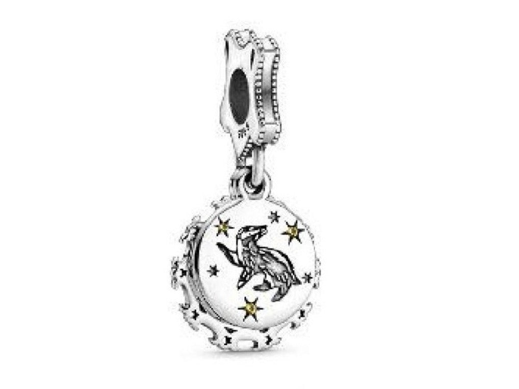 PCHARM2283 COLGANTE DE HARRY POTTER