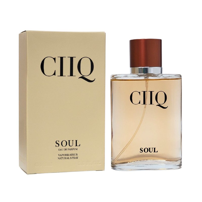 CIIQ SOUL EDP 100ML (H) (AROMA SIMILAR GIORGIO ARMANI AQUA DI GIO ABSOLU)