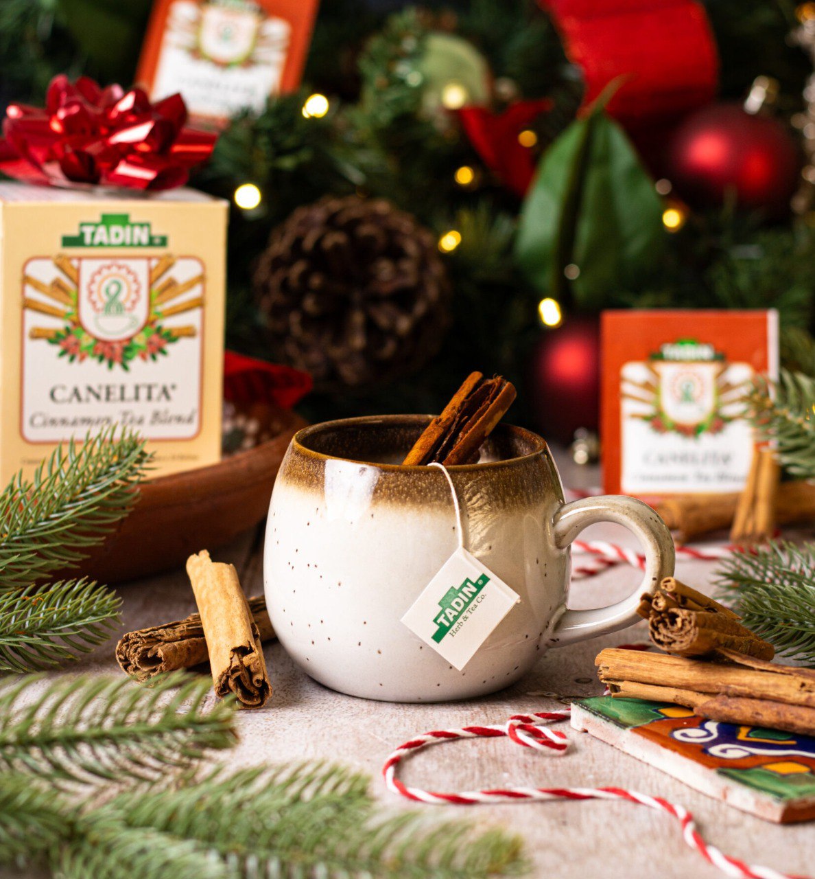 TE DE CANELA FUNCIONAL Y TERAPEUTICO 24UND TADIN 48G