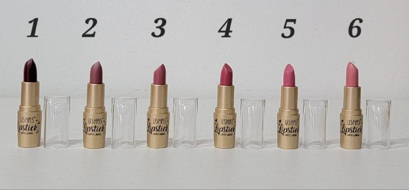 BRILLO LABIAL MATTE 6 TONOS USHAS