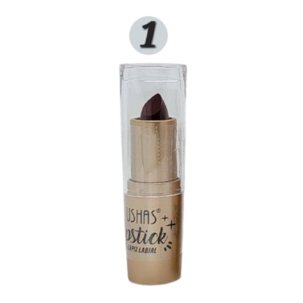 BRILLO LABIAL MATTE 6 TONOS USHAS