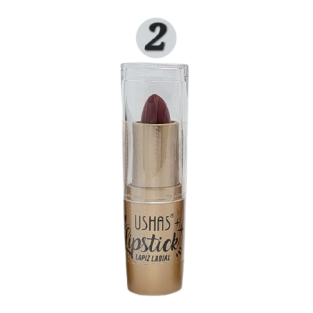 BRILLO LABIAL MATTE 6 TONOS USHAS