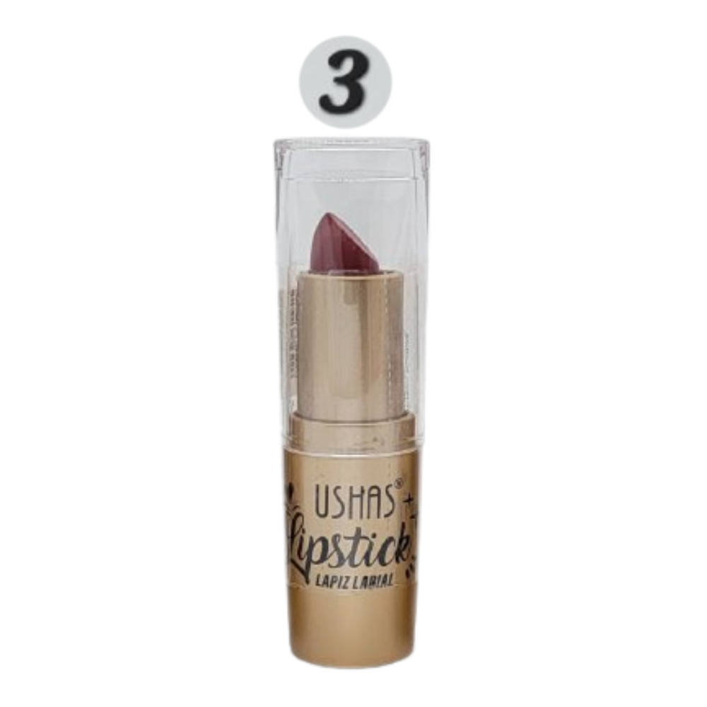 BRILLO LABIAL MATTE 6 TONOS USHAS