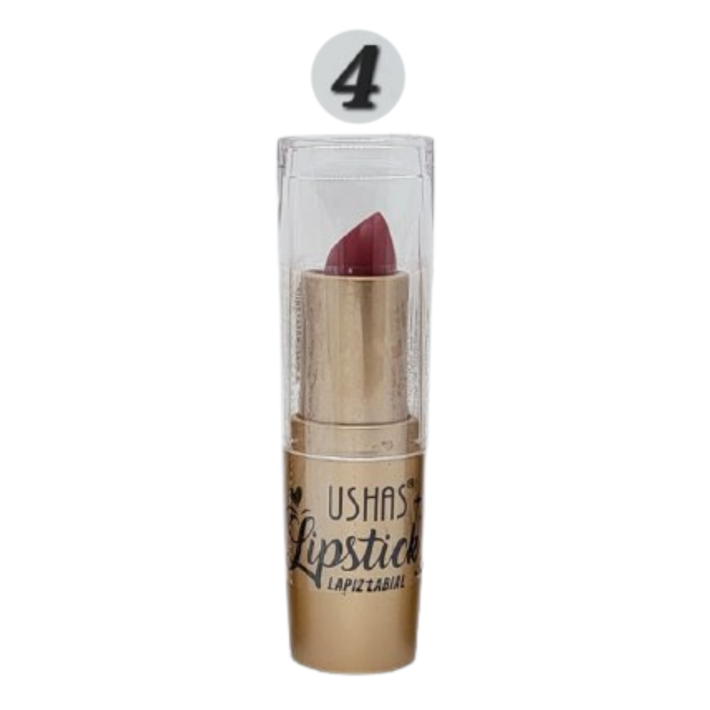 BRILLO LABIAL MATTE 6 TONOS USHAS