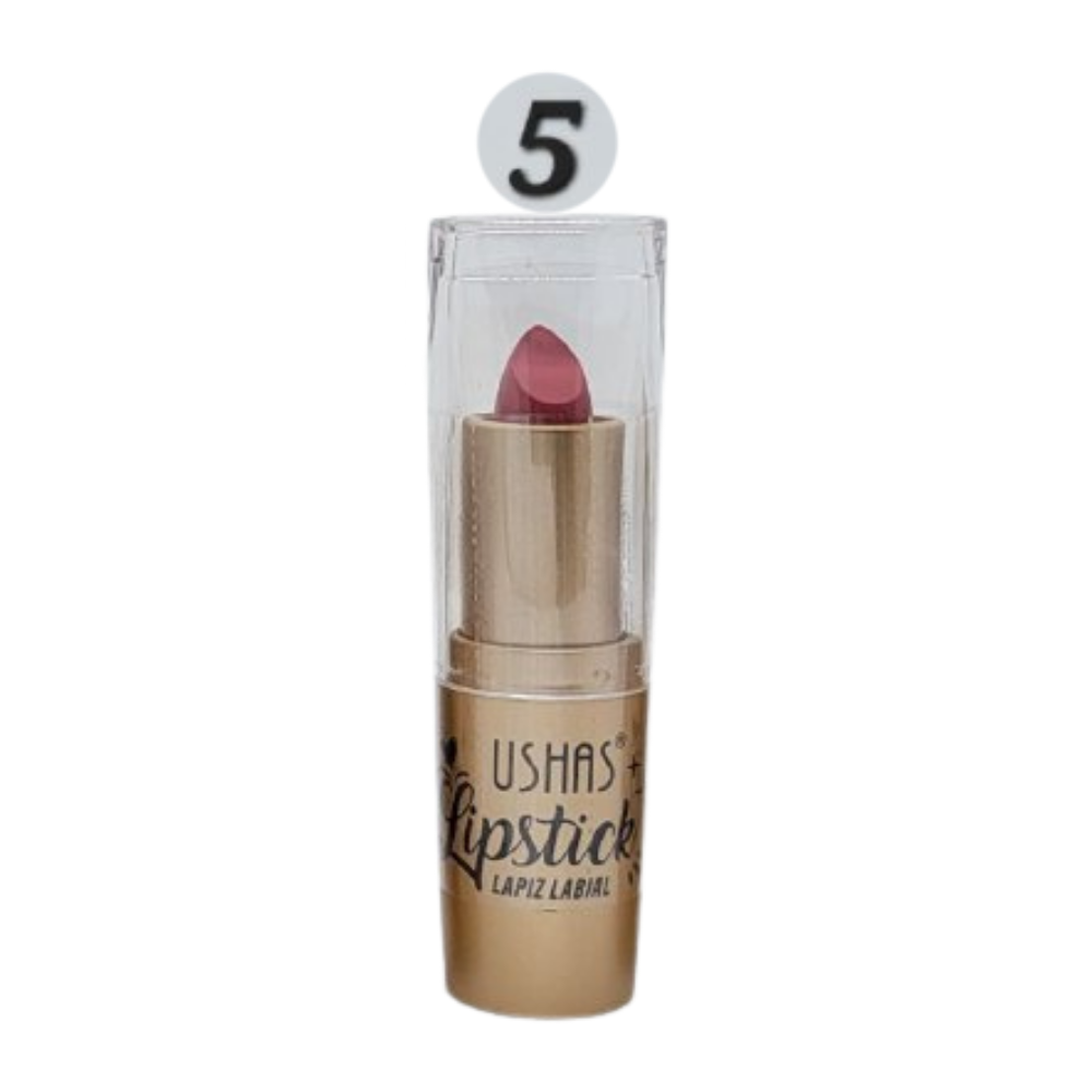 BRILLO LABIAL MATTE 6 TONOS USHAS