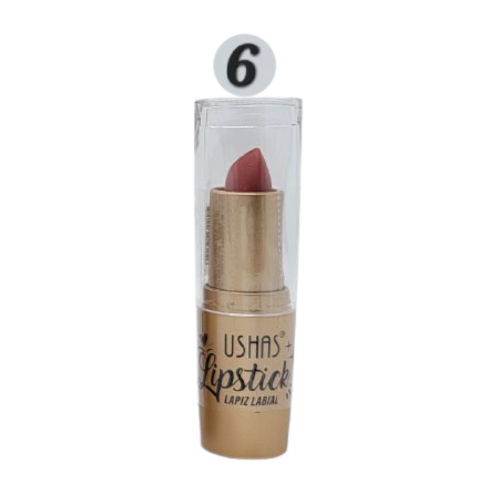 BRILLO LABIAL MATTE 6 TONOS USHAS