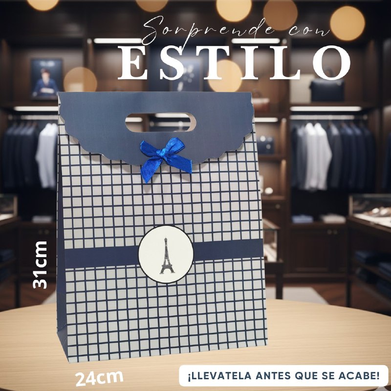 BOLSA DE REGALO GRANDE 24X31CM