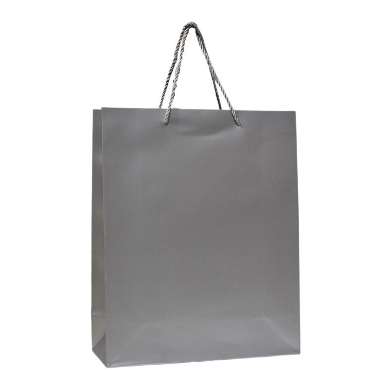 BOLSA DE REGALO MEDIANA 26X32X10CM