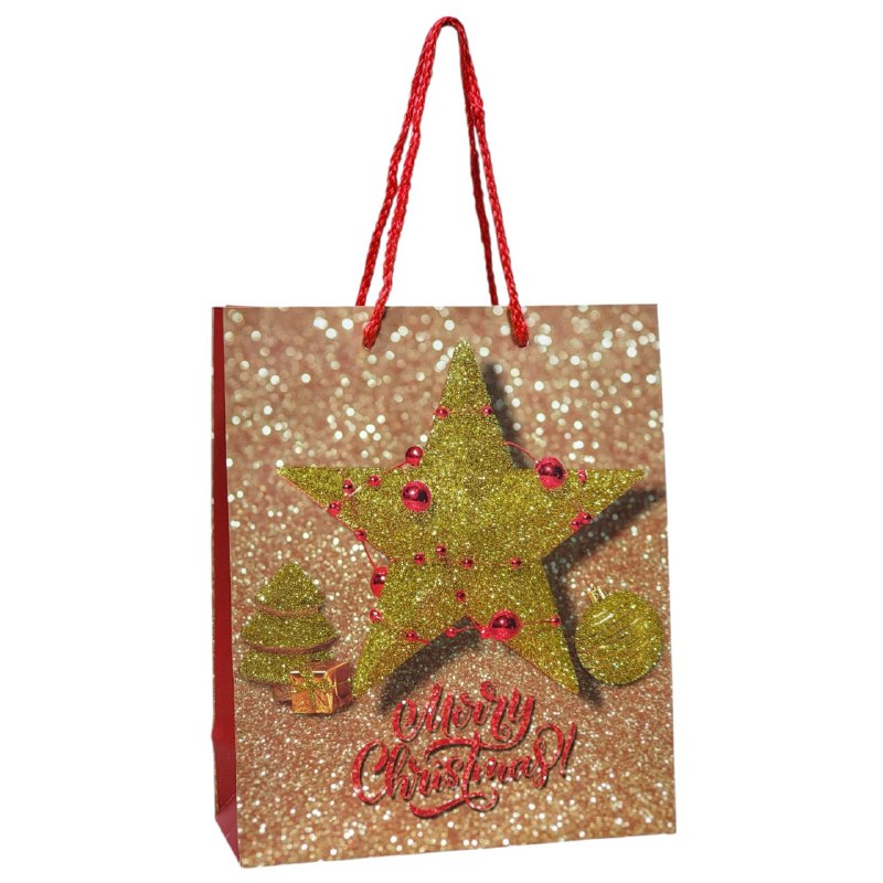 BOLSA DE REGALO NAVIDEÑA PEQUEÑA 19.5X23.5X8CM