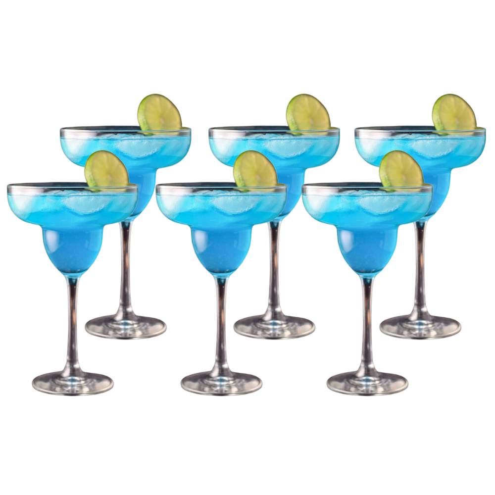 SET DE 6 COPAS DE MARTINI Cap. 300cc  10 1/4oz