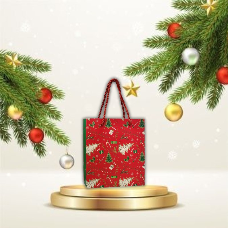 BOLSA DE REGALO NAVIDEÑA EXTRA PEQUEÑA 14X16X7CM