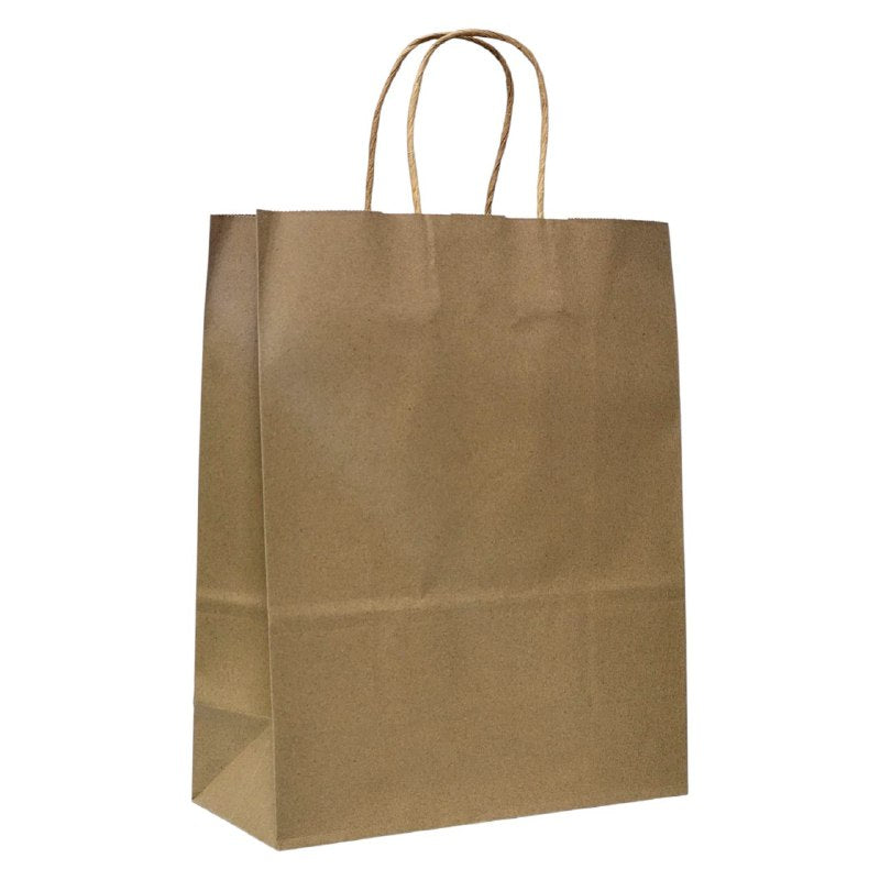 BOLSA DE REGALO GRANDE 31X42X11.5 13 COLORES