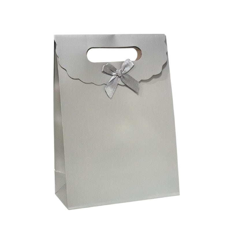 BOLSA DE REGALO MEDIANO 19X27CM