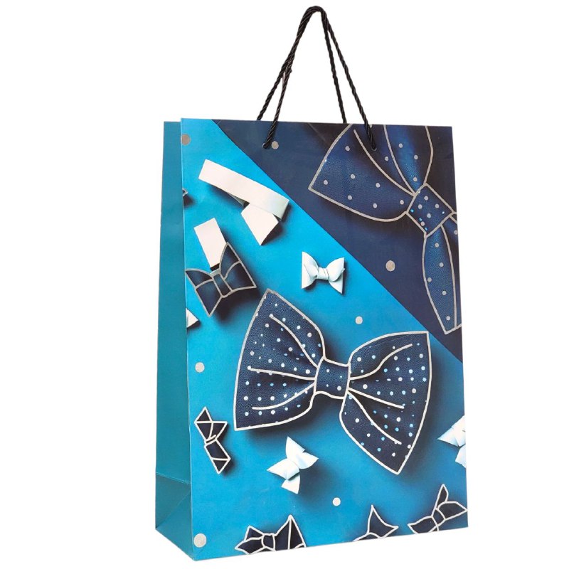 BOLSA DE REGALO PARA GRANDE 30X12X41.5CM