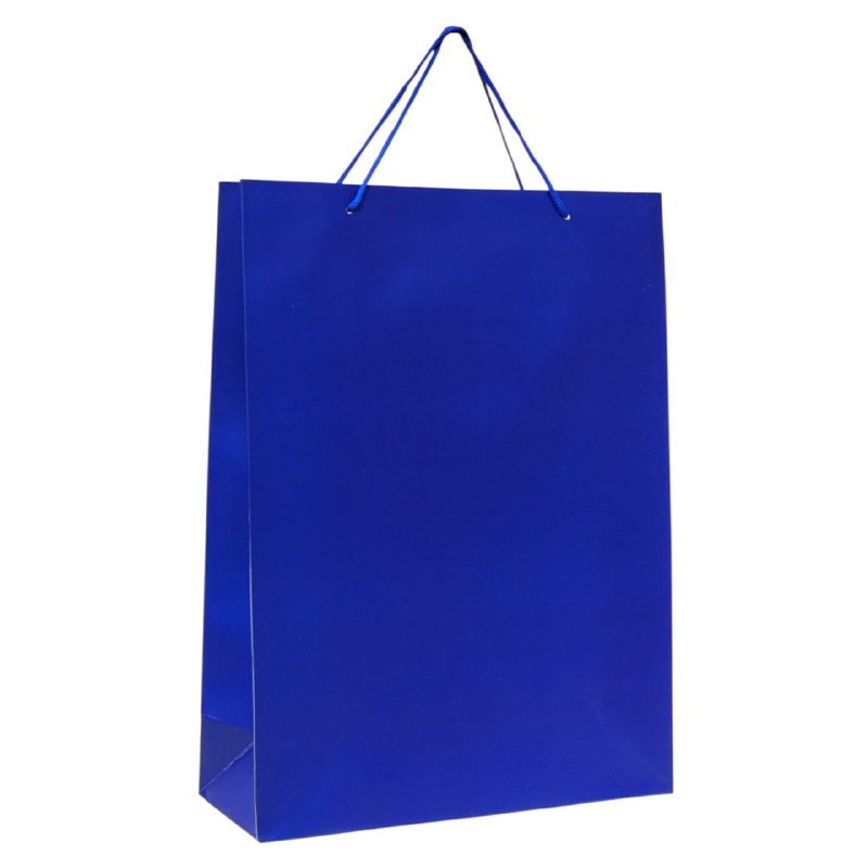 BOLSA DE REGALO DE GRANDE 30X12X41CM