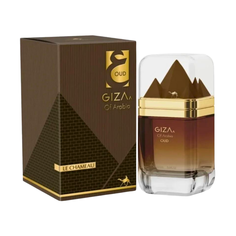 LE CHAMEAU GIZA OF ARABIA OUD EDP 100ML (U)