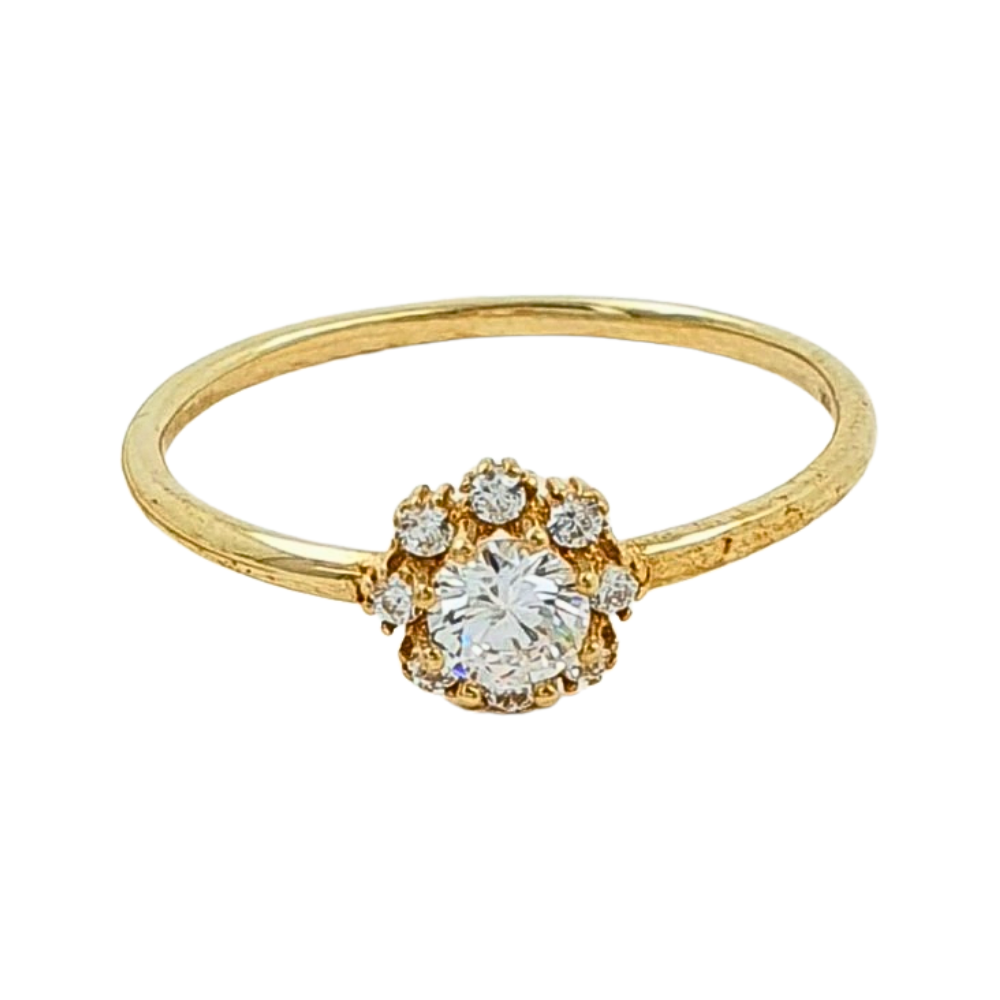 OANI690$8 FORMA PATA DE PERRO