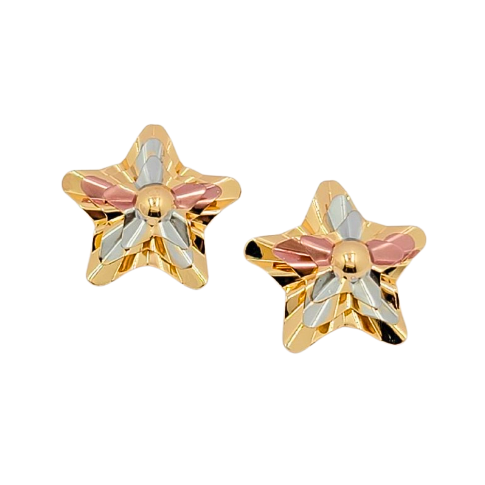 EARI4018 FORMA ESTRELLA