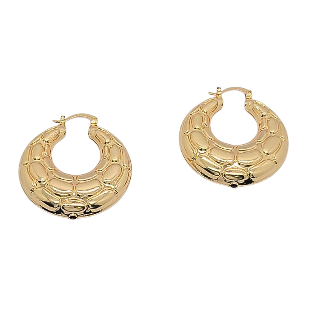 EARGO1669 FORMA ESCAMAS