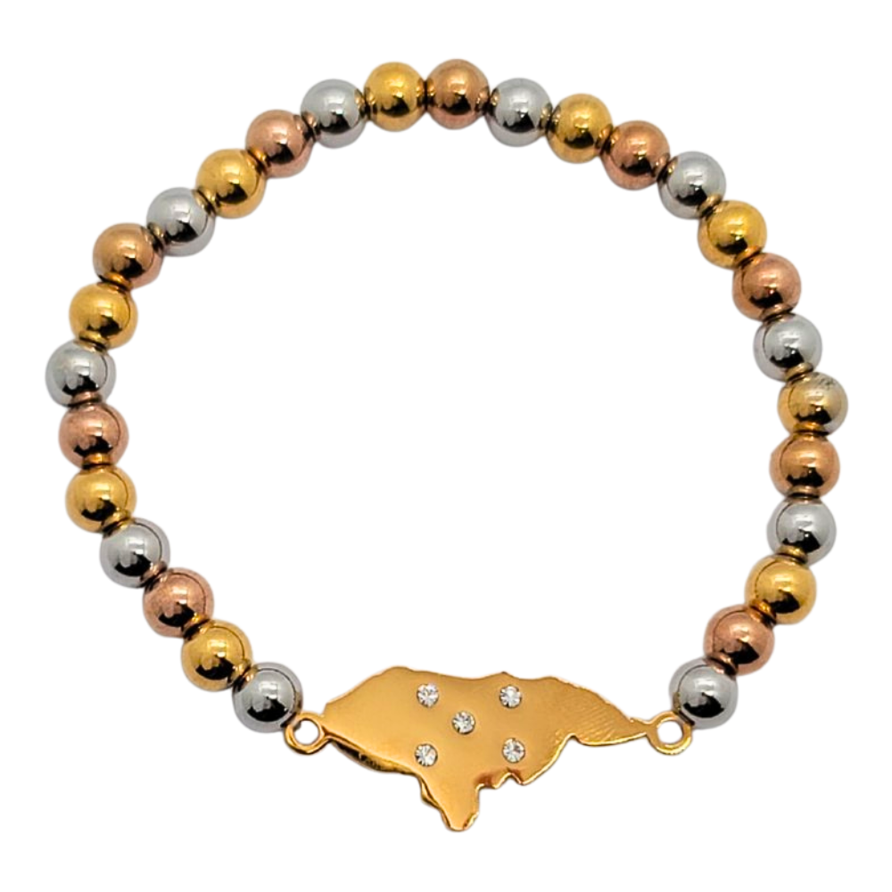 EPULD764 FORMA HONDURAS