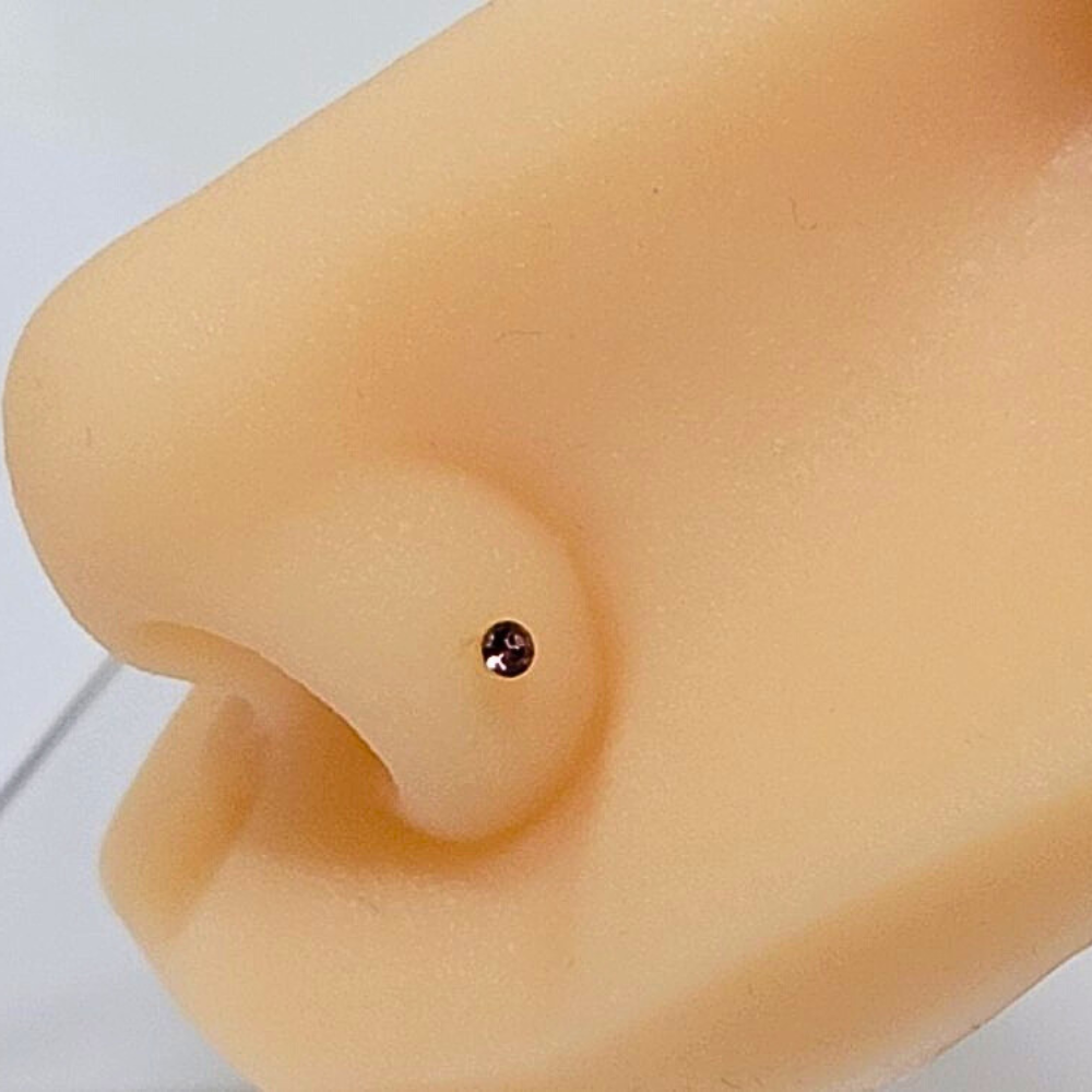 EPIRCI169 FORMA CIRCON COLORES