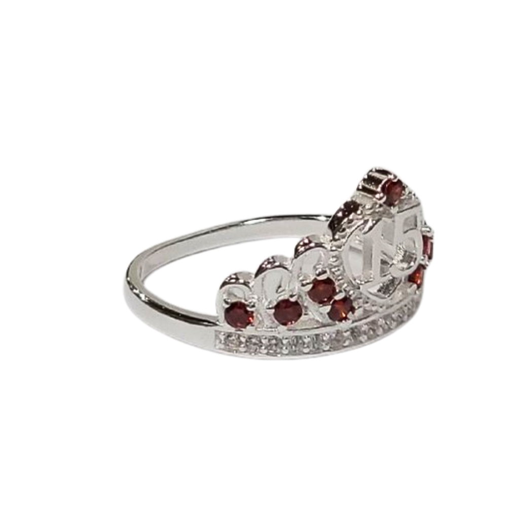 PANI2126B FORMA 15 AÑOS