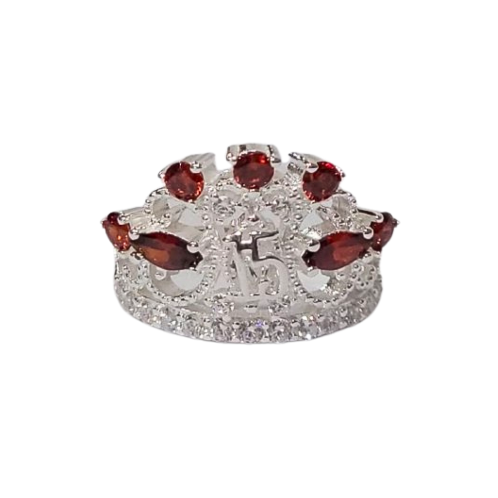 PANI2125C FORMA 15 AÑOS