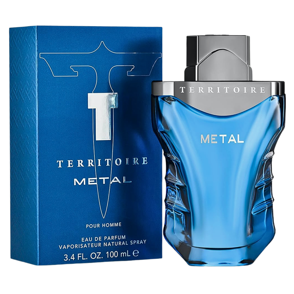 TERRITOIRE METAL POUR HOMME EDP 100ML (H) (DUPE CREED SILVER MOUNTAIN WATER EDP)