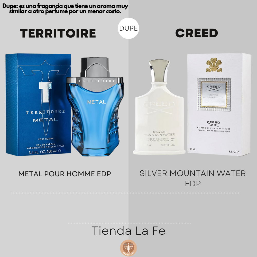TERRITOIRE METAL POUR HOMME EDP 100ML (H) (DUPE CREED SILVER MOUNTAIN WATER EDP)