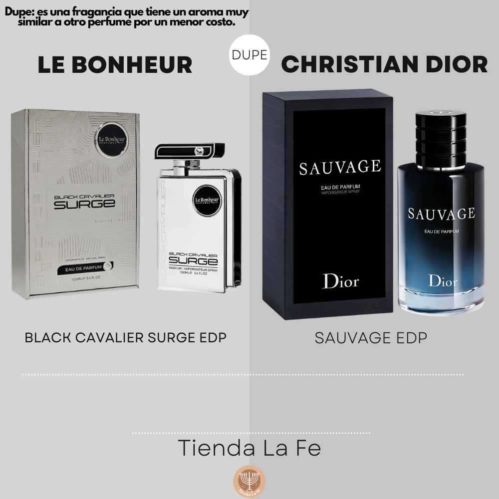 LE BONHEUR BLACK CAVALIER SURGE EDP 100ML (H) (DUPE CHRISTIAN DIOR SAUVAGE EDP)