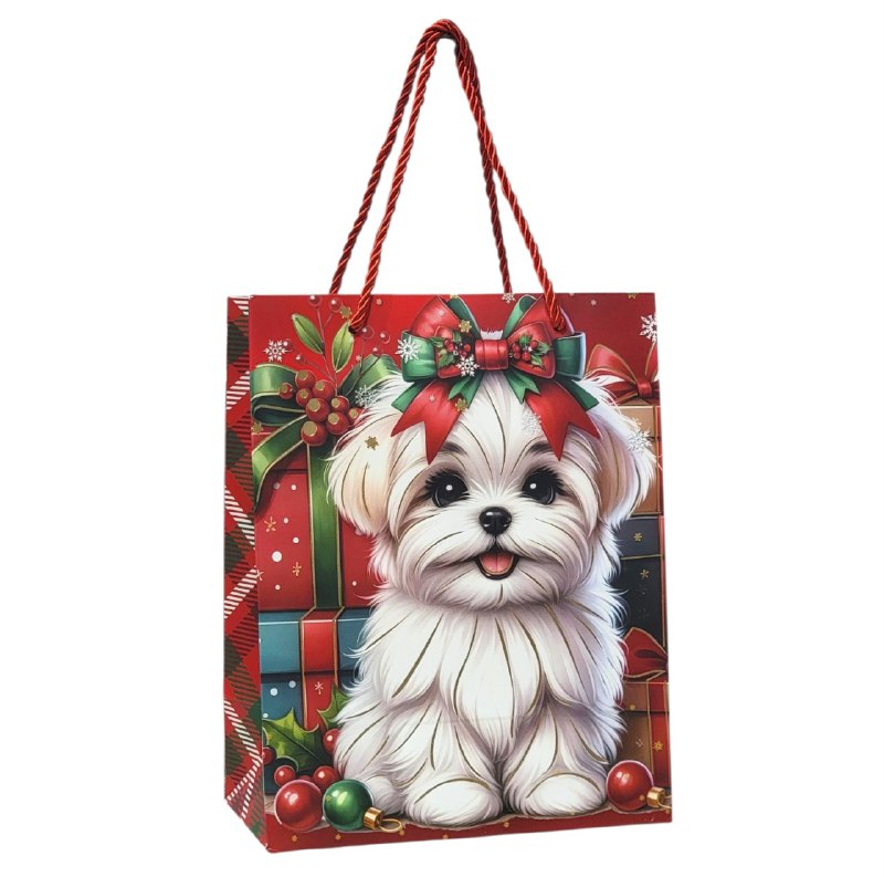 BOLSA DE REGALO NAVIDEÑA PAQUEÑA 18X23X10CM