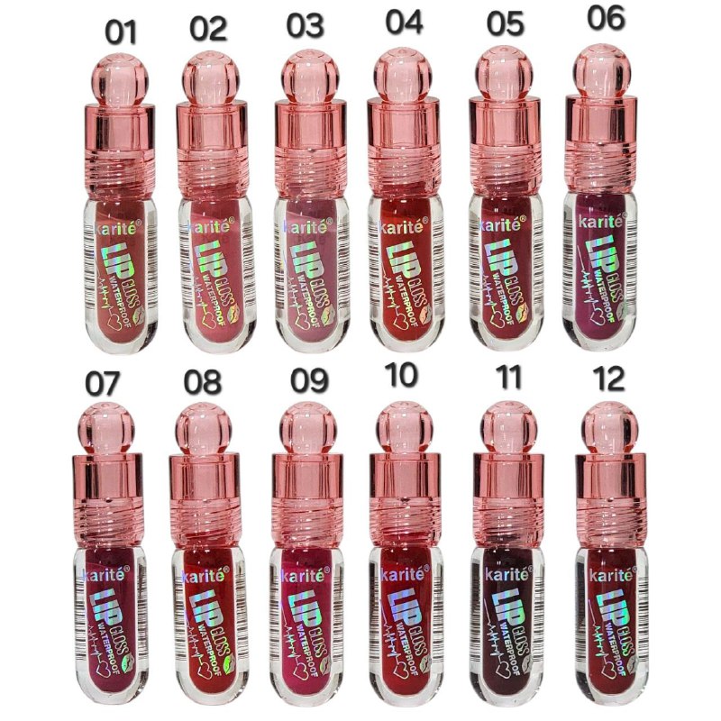 BRILLO LABIALKARITE 3ML (DUPE DE RARE BEAUTY)   LIP GLOSS IMPERMEABLE, NO PEGAJOSO, ALTA PIGMENTACION, 12 TONOS