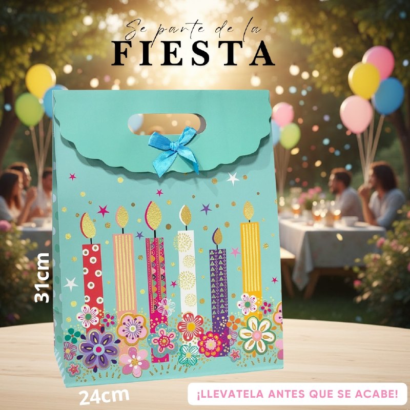 BOLSA DE REGALO GRANDE 24X31CM