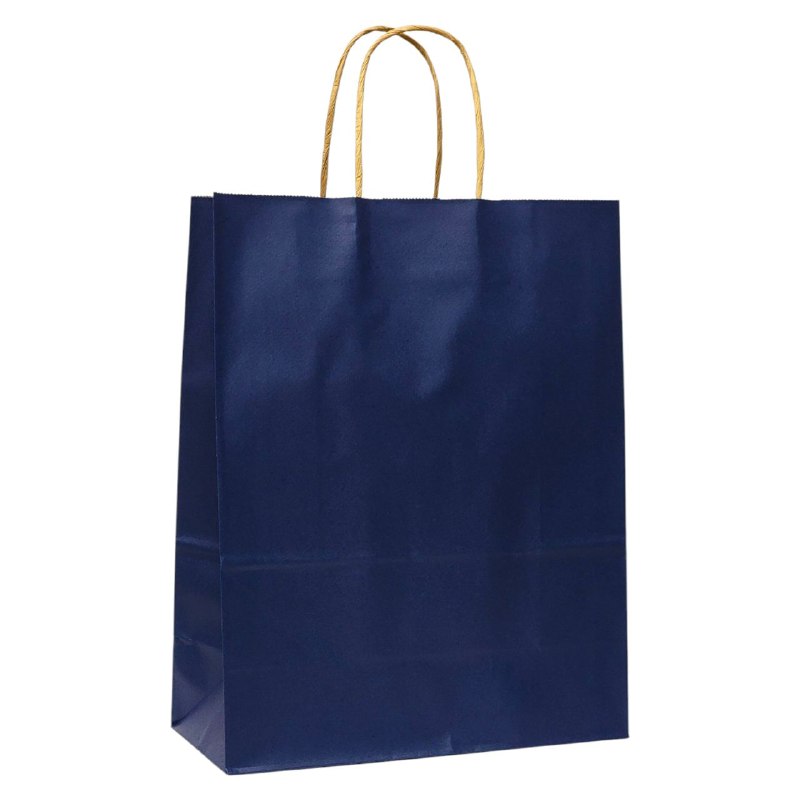 BOLSA DE REGALO GRANDE 31X42X11.5 13 COLORES