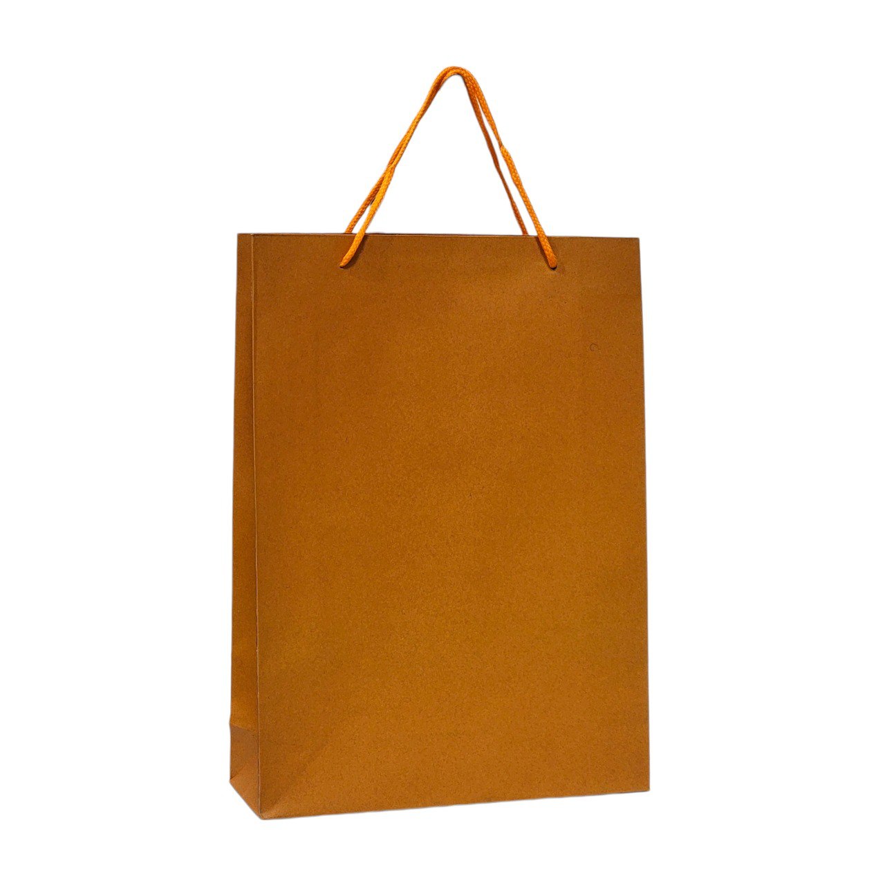 BOLSA DE REGALO MEDIANA 24X33CM