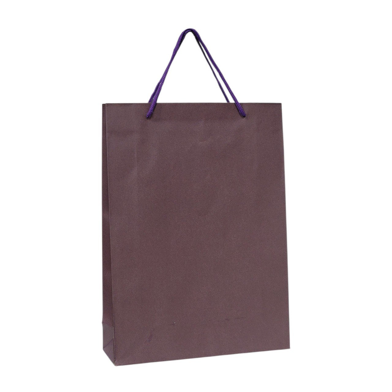 BOLSA DE REGALO MEDIANA 24X33CM