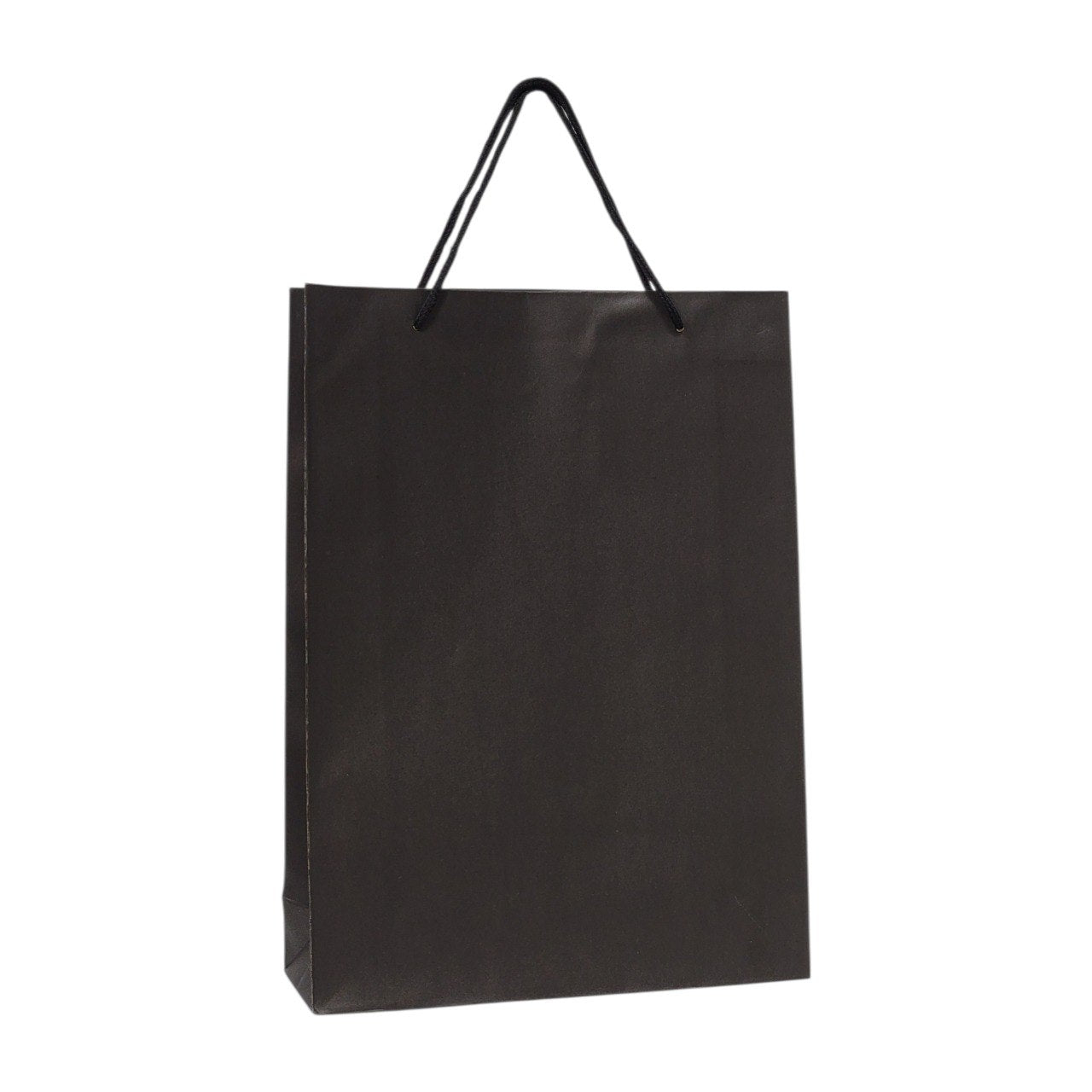 BOLSA DE REGALO MEDIANA 24X33CM